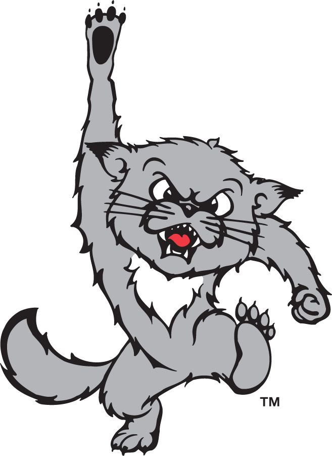 Cincinnati Bearcats 1995-2005 Secondary Logo DIY iron on transfer (heat transfer)